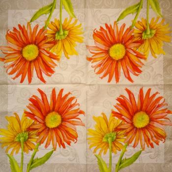 348 Daisies - 3-ply - CS
